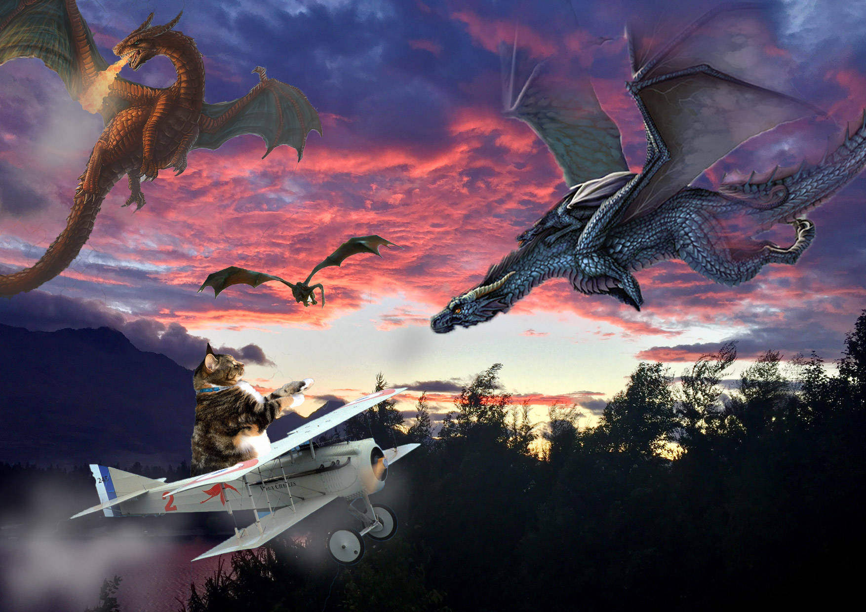Dragons in the sky